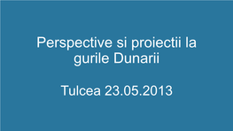 Perspective Si Proiectii La Gurile Dunarii