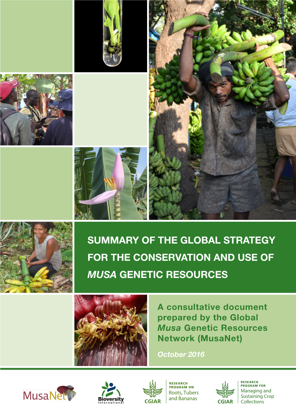 Summary of the Global Strategy for the Conservation and Use of Musa Genetic Resources