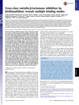 Cross-Class Metallo-Β-Lactamase Inhibition by Bisthiazolidines Reveals Multiple Binding Modes