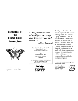 Butterflies of the Finger Lakes National Forest