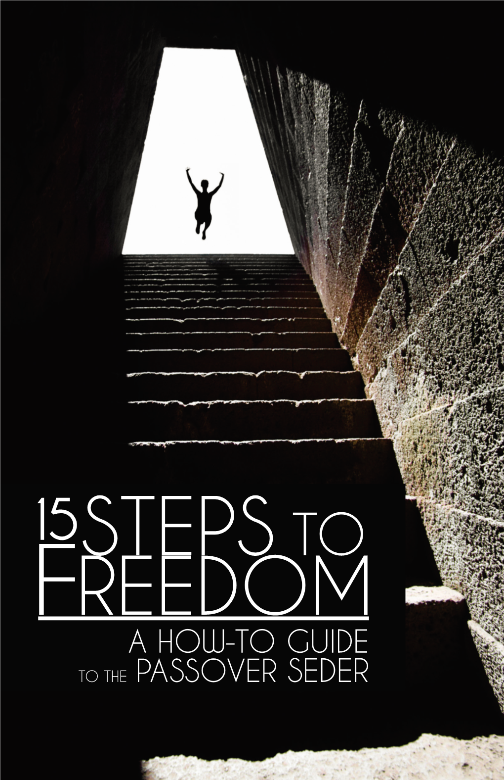 15 Steps to Freedom