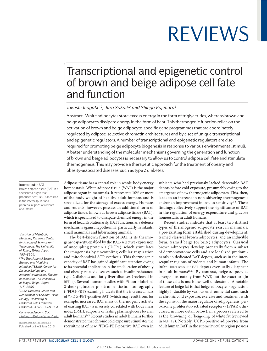 Transcriptional and Epigenetic Control of Brown and Beige Adipose Cell Fate and Function