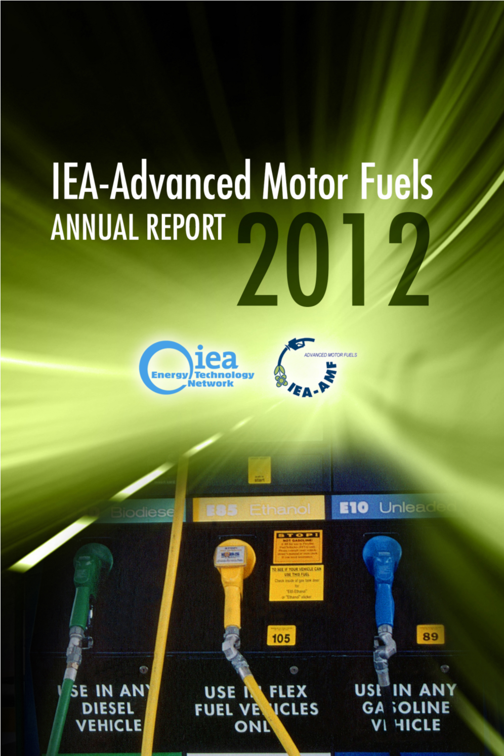 Iea-Advanced Motor Fuels Annual Report 2012