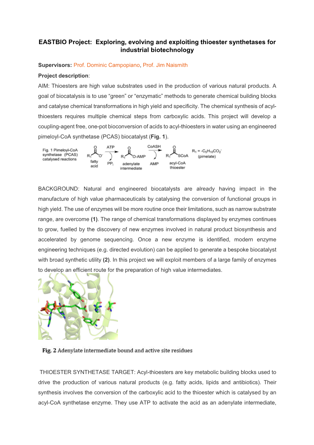 EASTBIO Project: Exploring, Evolving and Exploiting Thioester Synthetases for Industrial Biotechnology