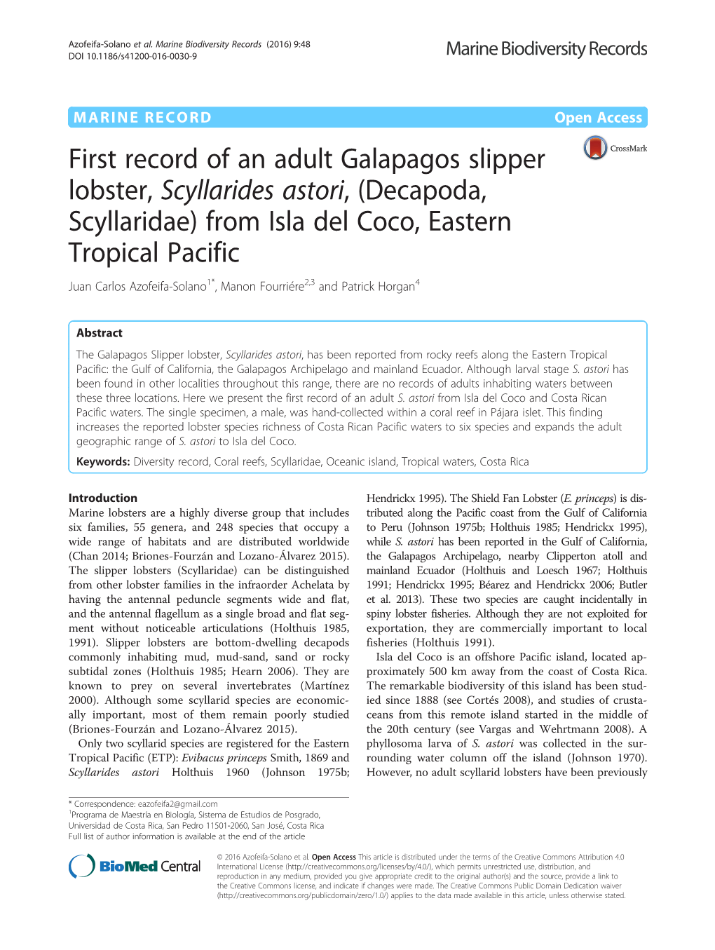 First Record of an Adult Galapagos Slipper Lobster, Scyllarides Astori