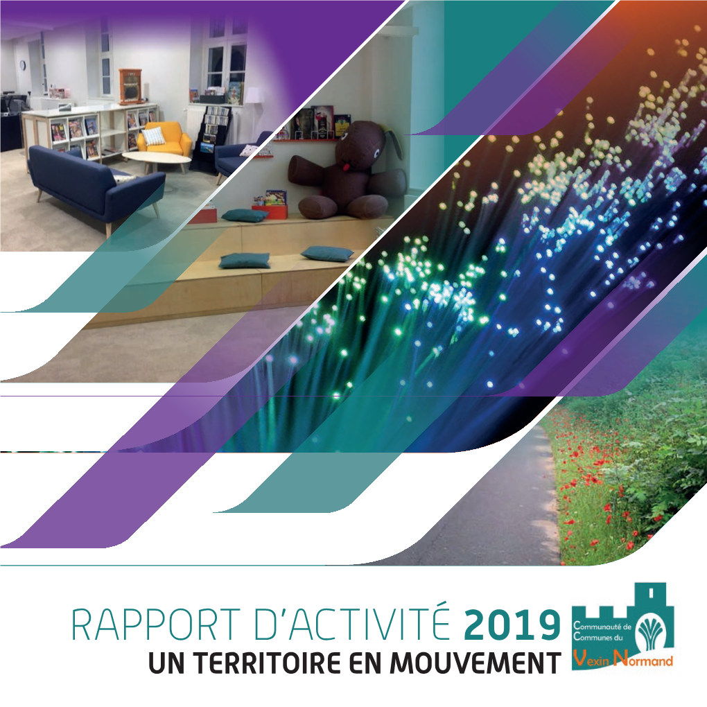 Rapport D'activites 2019