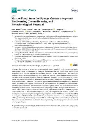 Marine Fungi from the Sponge Grantia Compressa: Biodiversity, Chemodiversity, and Biotechnological Potential