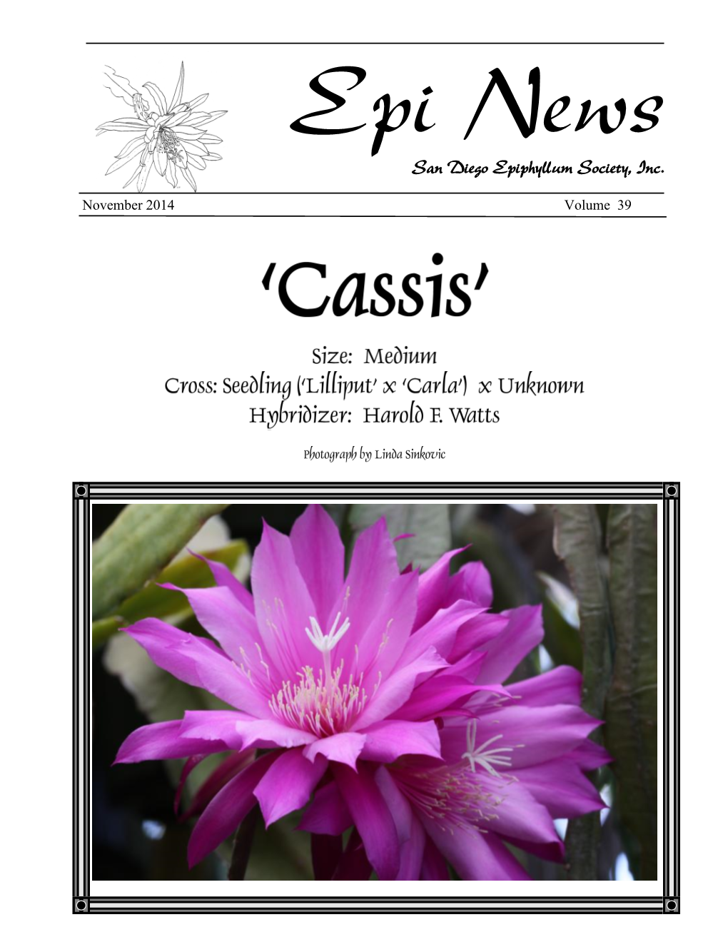 Epi News San Diego Epiphyllum Society, Inc