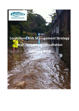 Local Flood Risk Mgt Strategy CCC Consultation