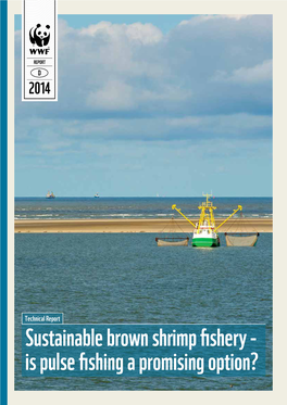 Sustainable Brown Shrimp Fishery - Is Pulse Fishing a Promising Option? the English and German Study Is Available for Download