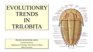 Evolutionry Trends in Trilobita