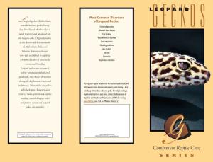 Companion Reptile Care SERIES Gecko.Qxd 7/23/2009 2:39 PM Page 2