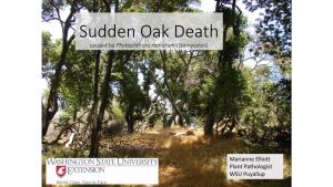Sudden Oak Death Caused by Phytophthora Ramorum (Oomycetes)