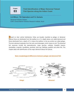 Field Identification of Major Demersal Teleost Fish Species Along the Indian Coast