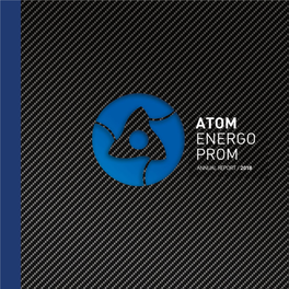 Annual Report of Atomenergoprom for 2018 (Pdf, 8