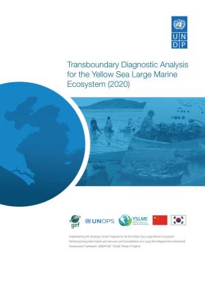 Transboundary Diagnostic Analysis for the Yellow Sea Large Marine Ecosystem (2020)