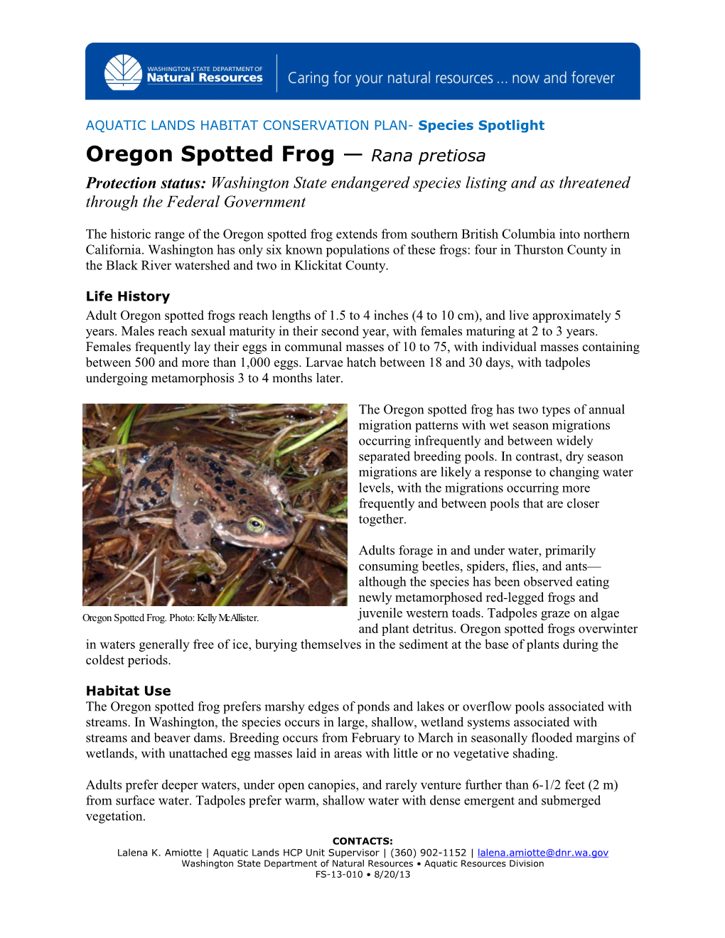 Oregon Spotted Frog — Rana Pretiosa Protection Status: Washington State Endangered Species Listing and As Threatened Through the Federal Government