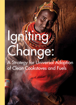 A Strategy for Universal Adoption of Clean Cookstoves and Fuels