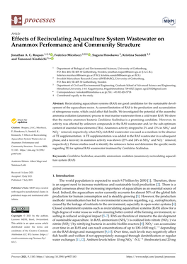 Effects of Recirculating Aquaculture System Wastewater on Anammox Performance and Community Structure
