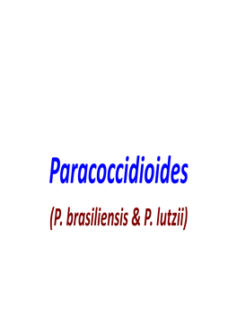 04 Paracoccidioidomycosis