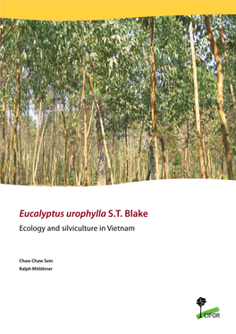 Eucalyptus Urophylla S.T