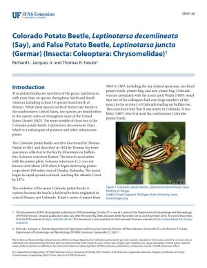 And False Potato Beetle, Leptinotarsa Juncta (Germar) (Insecta: Coleoptera: Chrysomelidae)1 Richard L