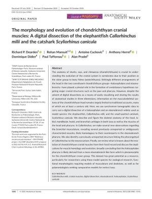The Morphology and Evolution of Chondrichthyan Cranial Muscles: a Digital Dissection of the Elephantfish Callorhinchus Milii and the Catshark Scyliorhinus Canicula