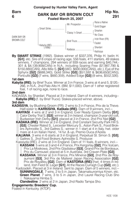 DARK BAY OR BROWN COLT Barn 6 Hip No