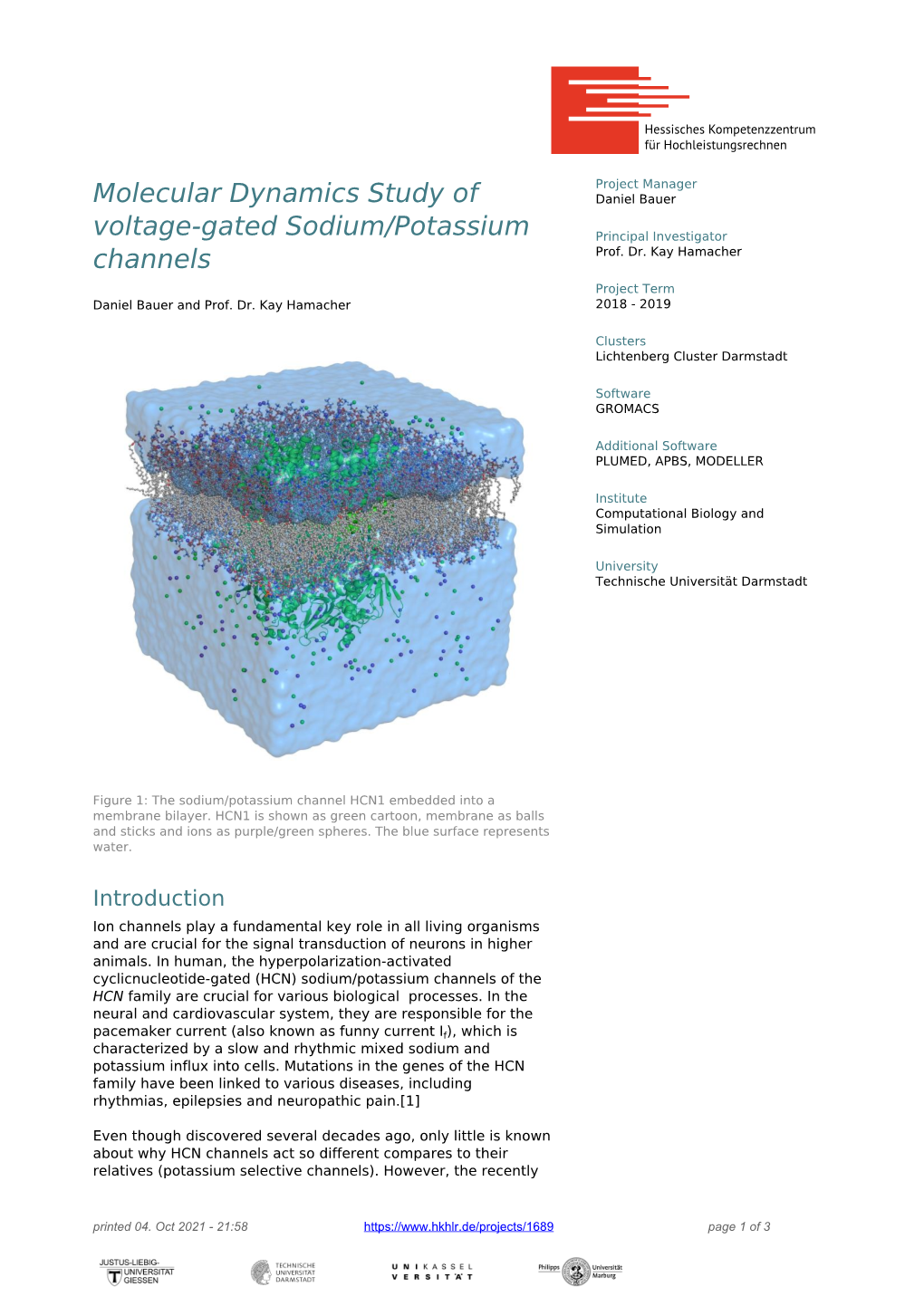 Molecular Dynamics Study of Voltage-Gated Sodium/Potassium Channels Daniel Bauer and Prof
