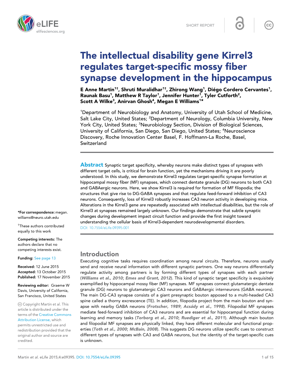 The Intellectual Disability Gene Kirrel3 Regulates Target-Specific Mossy Fiber