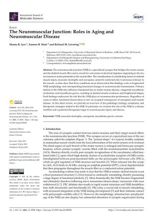 The Neuromuscular Junction: Roles in Aging and Neuromuscular Disease