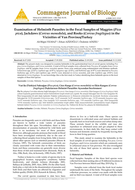 Examination of Helminth Parasites in the Fecal Samples of Magpies