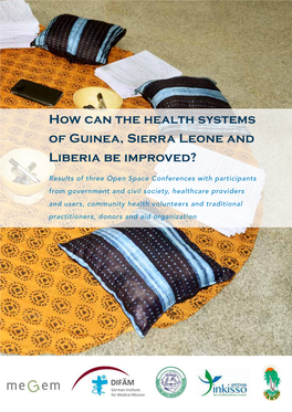 How Can the Health Systems of Guinea, Sierra Leone and Liberia Be Improved?