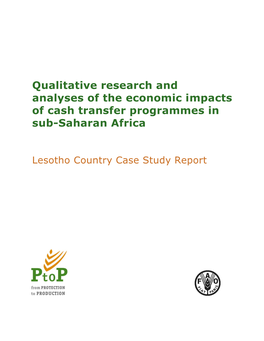 Qualitative Research and Analyses of the Economic Impacts of Cash Transfer Programmes in Sub-Saharan Africa