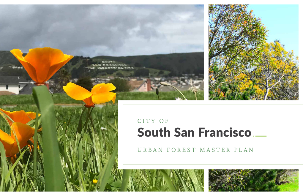 CITY of South San Francisco