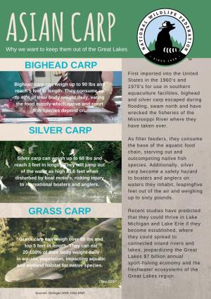Asian Carp Fact Sheet