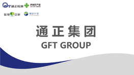 Gft Group Liaoning General Fair Testing Co.,Ltd