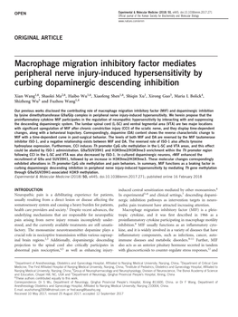 Macrophage Migration Inhibitory Factor Mediates Peripheral Nerve Injury-Induced Hypersensitivity by Curbing Dopaminergic Descending Inhibition