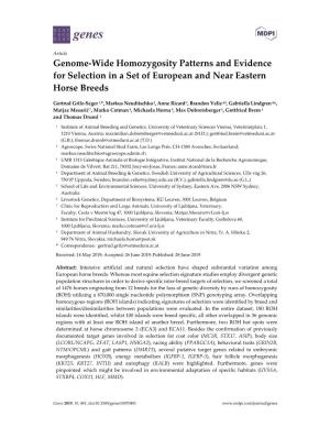 Genome-Wide Homozygosity Patterns and Evidence for Selection in a Set of European and Near Eastern Horse Breeds