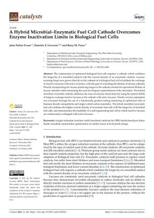 A Hybrid Microbial–Enzymatic Fuel Cell Cathode Overcomes Enzyme Inactivation Limits in Biological Fuel Cells
