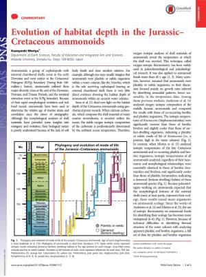 Evolution of Habitat Depth in the Jurassic– Cretaceous Ammonoids