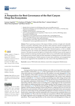 A Perspective for Best Governance of the Bari Canyon Deep-Sea Ecosystems