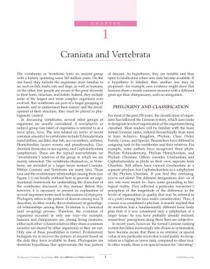 Craniata and Vertebrata