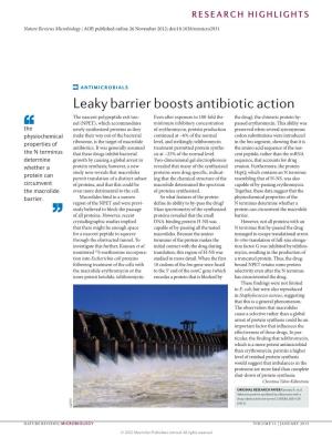 Antimicrobials: Leaky Barrier Boosts Antibiotic Action