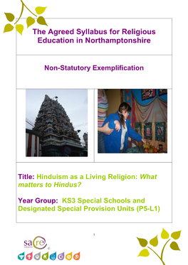 Hinduism As a Living Religion: What Matters to Hindus?