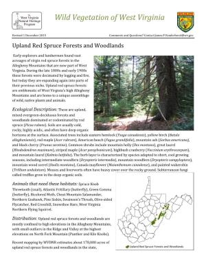 Wild Vegetation of West Virginia Upland Red Spruce