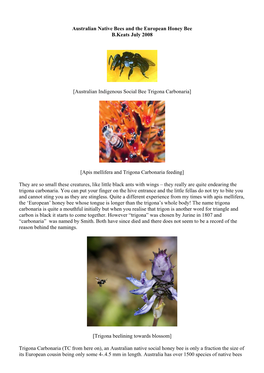 Australian Native Bees and the European Honey Bee B.Keats July 2008