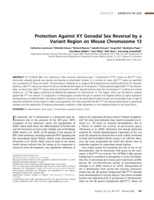 Protection Against XY Gonadal Sex Reversal by a Variant Region on Mouse Chromosome 13