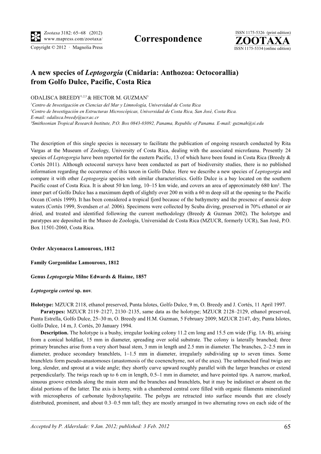 A New Species of Leptogorgia (Cnidaria: Anthozoa: Octocorallia) from Golfo Dulce, Pacific, Costa Rica