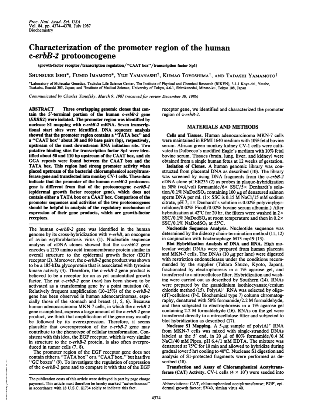 Characterization of the Promoter Region of the Human C-Erbb-2